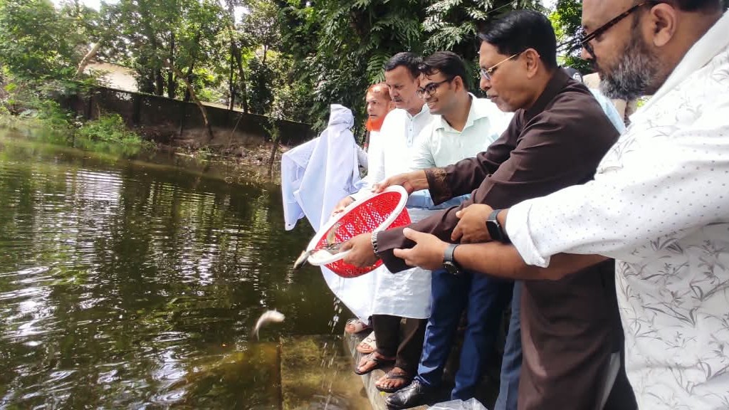 কোম্পানীগঞ্জে উপজেলা পরিষদের পুকুরে মাছের পোনা অবমুক্ত করলেন এমপি ফখরুল ইসলাম